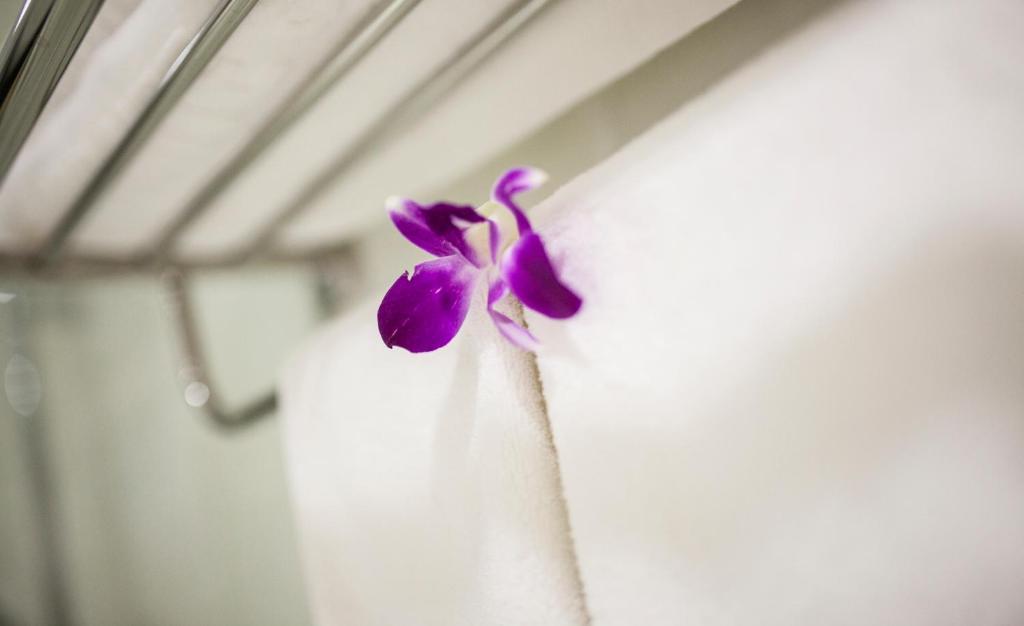 White Snow Hotel Đà Nẵng Zimmer foto
